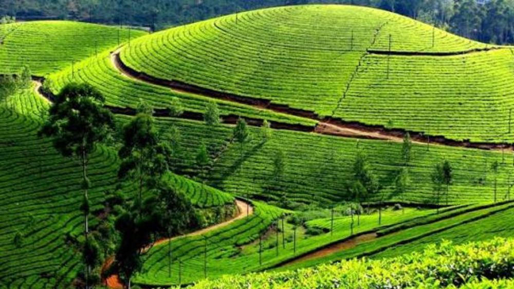Scenic Karnataka & Tamil Nadu
