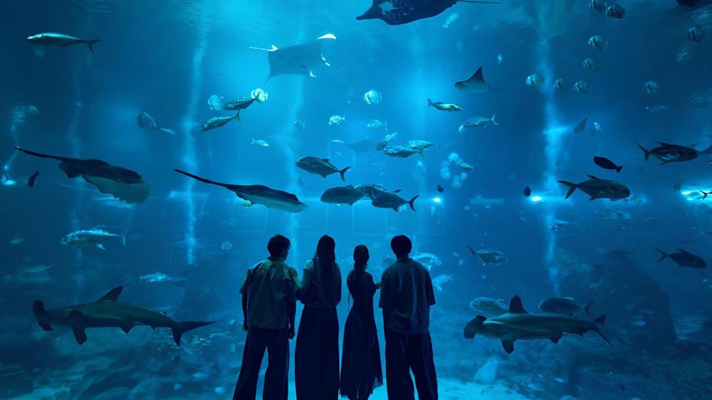 Discover Singapore