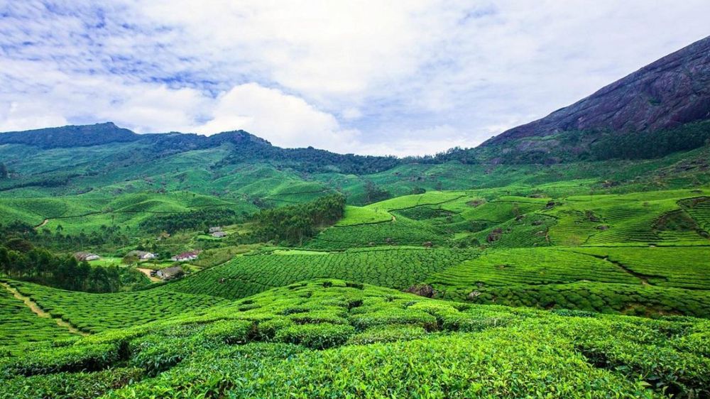 Spicey Kerala