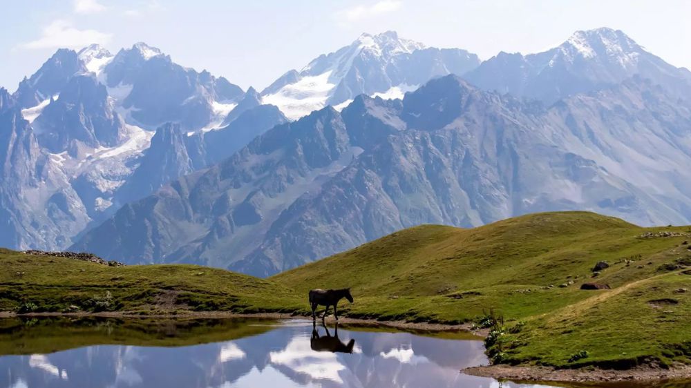 Discover Georgia