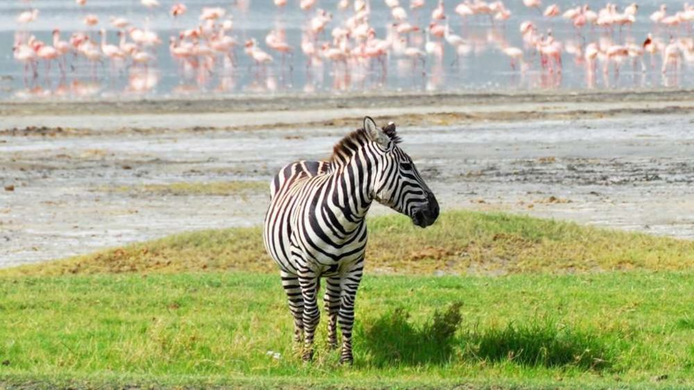 Adventurous Kenya & Tanzania