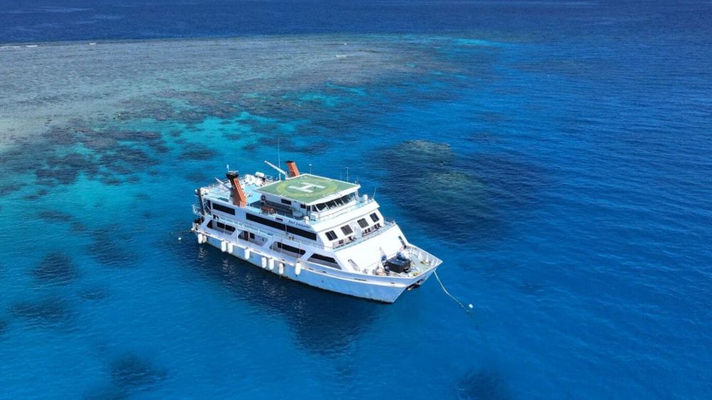 Cairns Reef And Rainforest Escape