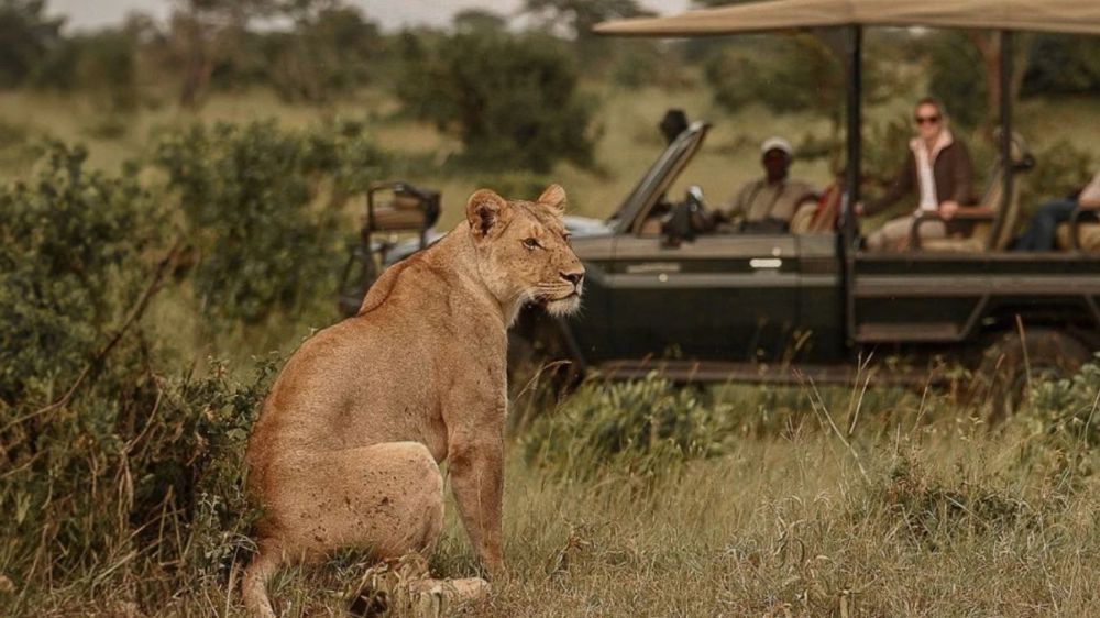 Tanzania & Zanzibar