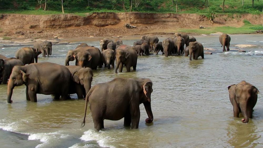 Sri Lanka Highlights