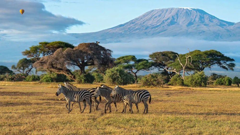 Kenya Wildlife Safari– Nairobi, Lake Nakuru & Masai Mara