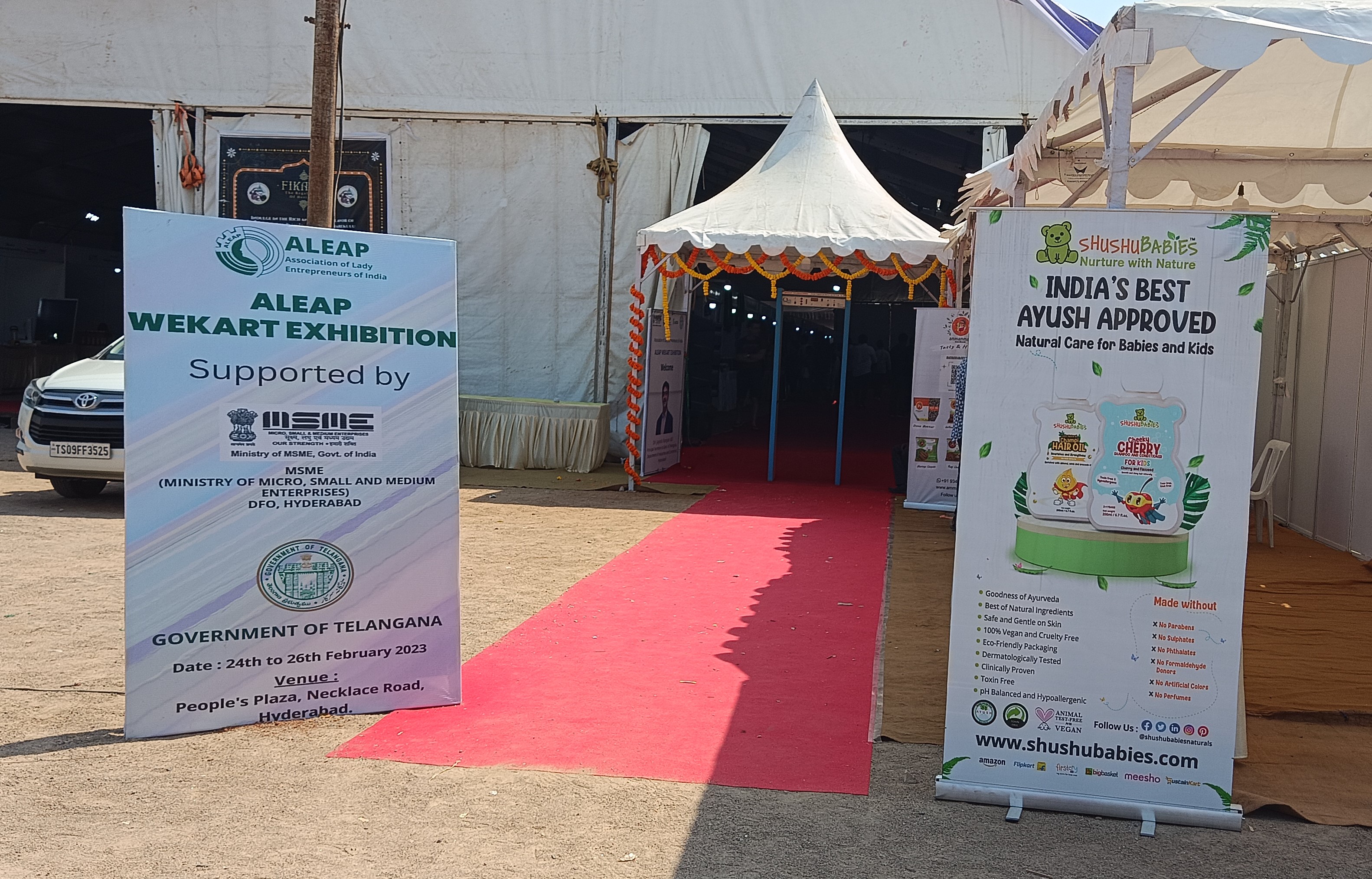 ఎగ్జిబిషన్ లోనికి వె‌ళే మార్గము