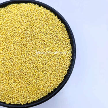 Baragu (Proso Millet)