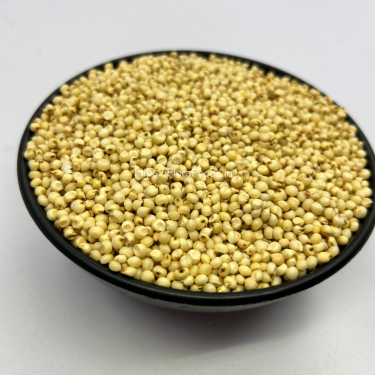 BIJAPUR Jola/BIJAPUR Jowar/BIJAPUR Sorghum (Great Millet)