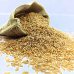Rajmudi rice (5)