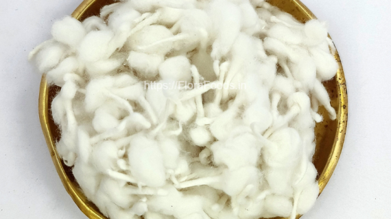 Hoovu batti (1)
