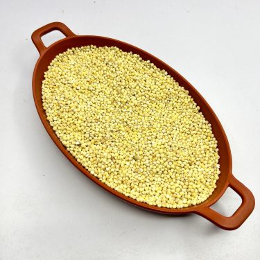 Maldandi Jola/Maldandi Jowar/Maldandi Sorghum (Great Millet)