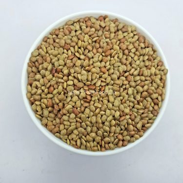 JAWARI HURALI Kaalu/HORSEGRAM