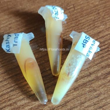 <b>SWARNA BINDU PRASHANA</b> Ayurvedic Immunisation - Set of 3 Vials