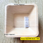 Areca SQUARE Bowl -BIG