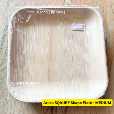 Areca Plates(Square) SMALL–Set of 10 - Medium