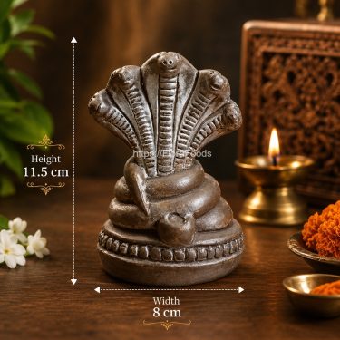 5 hede eco friendly nagappa