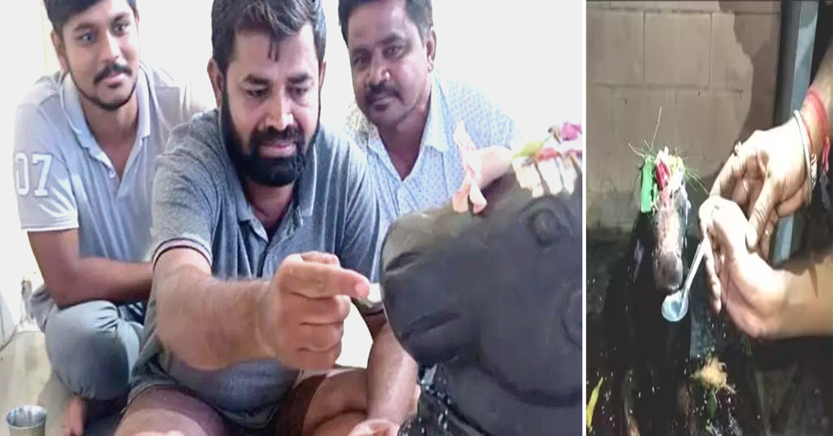 Video Viral ఆ ఆలయంలో నీళ్లు తాగుతున్న నంది..! HITTV