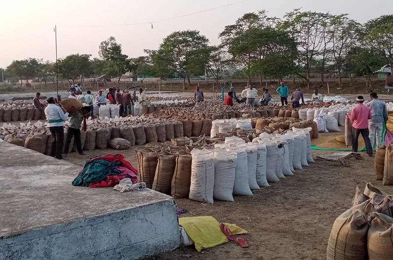 MPEUPARJAN: समर्थन मूल्य पर धान खरीदी 28 नवंबर से, कोई भी समस्या हो तो किसान भाई इस नंबर पर करें संपर्क, कंट्रोल रूम बना