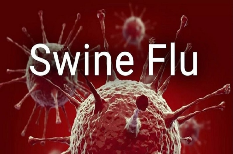 Swine flu raised concern in the state