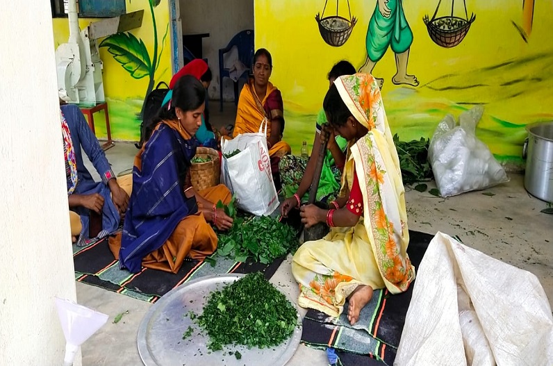 Chhattisgarh Cow Urine Scheme