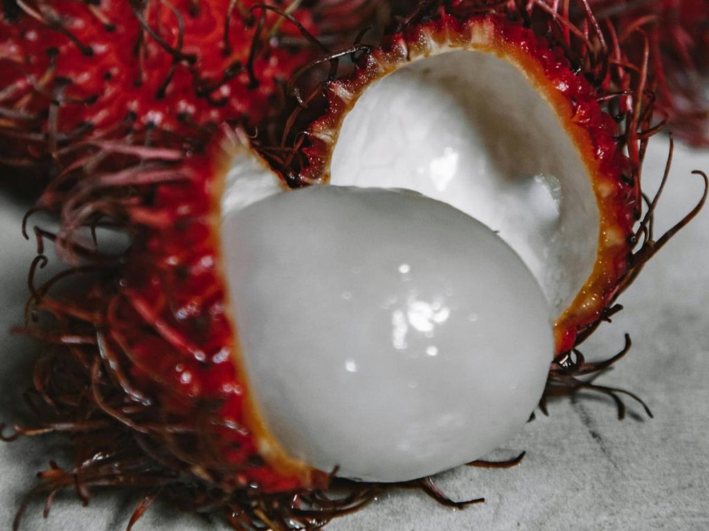 इस बात की जानकारी भी है कि सावंत सरकार नई कैश क्रॉप्स जैसे एवाकाडो, रामबुतान और पोमेलो की खेती के लिए किसानों को प्रोत्साहित करेगी. साथ ही साथ ही किसानों के लिए फील्ड स्कूल और प्रदर्शनी खेतों को भी बढ़ावा देगी. 
 इस बात की जानकारी भी है कि सावंत सरकार नई कैश क्रॉप्स जैसे एवाकाडो, रामबुतान और पोमेलो की खेती के लिए किसानों को प्रोत्साहित करेगी. साथ ही साथ ही किसानों के लिए फील्ड स्कूल और प्रदर्शनी खेतों को भी बढ़ावा देगी.