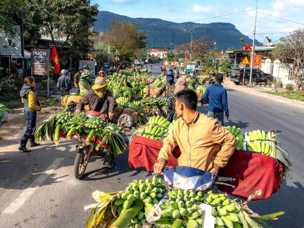 भट ने 30,000 रुपये के शुरुआती निवेश के साथ जमीन के एक छोटे से टुकड़े पर सफलतापूर्वक एक हाइड्रोपोनिक सब्जी फार्म की शुरुआत की. यहां से उनकी जिंदगी ही बदल गई.   आज उनकी गिनती उन सफल किसानों में होती है जो स्थानीय सब्जियों के अलावा ब्रोकली और लेट्यूस सहित कई तरह की विदेशी सब्जियां उगा रहे हैं.   भट ने 30,000 रुपये के शुरुआती निवेश के साथ जमीन के एक छोटे से टुकड़े पर सफलतापूर्वक एक हाइड्रोपोनिक सब्जी फार्म की शुरुआत की. यहां से उनकी जिंदगी ही बदल गई.   आज उनकी गिनती उन सफल किसानों में होती है जो स्थानीय सब्जियों के अलावा ब्रोकली और लेट्यूस सहित कई तरह की विदेशी सब्जियां उगा रहे हैं.