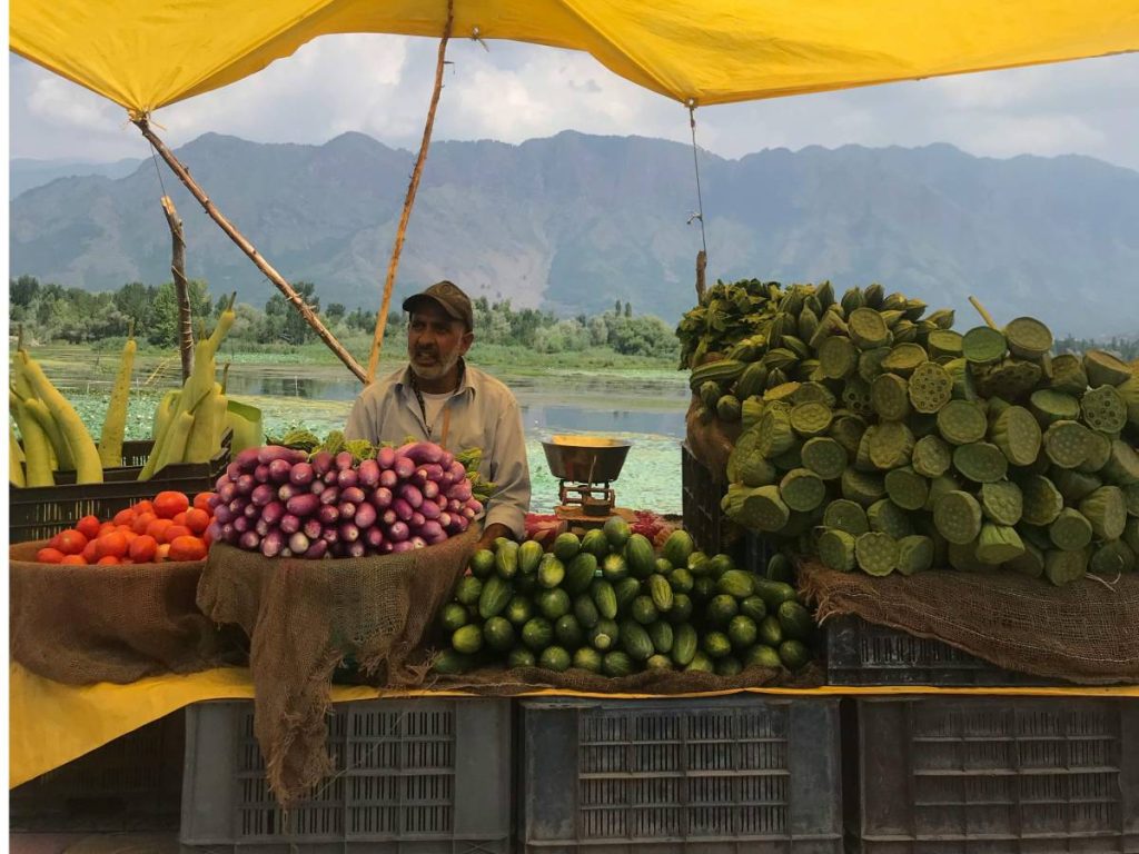 इस तरीके से किसान साल भर खेती कर सकते हैं. साथ ही ज्यादा उपज और संसाधनों के कुशल उपयोग की आजादी भी उन्हें मिलती है. इससे यह क्षेत्र के लिए एक आकर्षक विकल्प बन जाता है. हाइड्रोपोनिक खेती के लिए सहायता, प्रशिक्षण और उपकरण प्रदान करने वाली राष्ट्रीय हाइड्रोपोनिक खेती फर्म क्राइजेन की मानें तो इस प्रकार की खेती अब कश्मीर में अपनी मजबूत पकड़ बनाती जा रही है. इस तरीके से किसान साल भर खेती कर सकते हैं. साथ ही ज्यादा उपज और संसाधनों के कुशल उपयोग की आजादी भी उन्हें मिलती है. इससे यह क्षेत्र के लिए एक आकर्षक विकल्प बन जाता है. हाइड्रोपोनिक खेती के लिए सहायता, प्रशिक्षण और उपकरण प्रदान करने वाली राष्ट्रीय हाइड्रोपोनिक खेती फर्म क्राइजेन की मानें तो इस प्रकार की खेती अब कश्मीर में अपनी मजबूत पकड़ बनाती जा रही है.