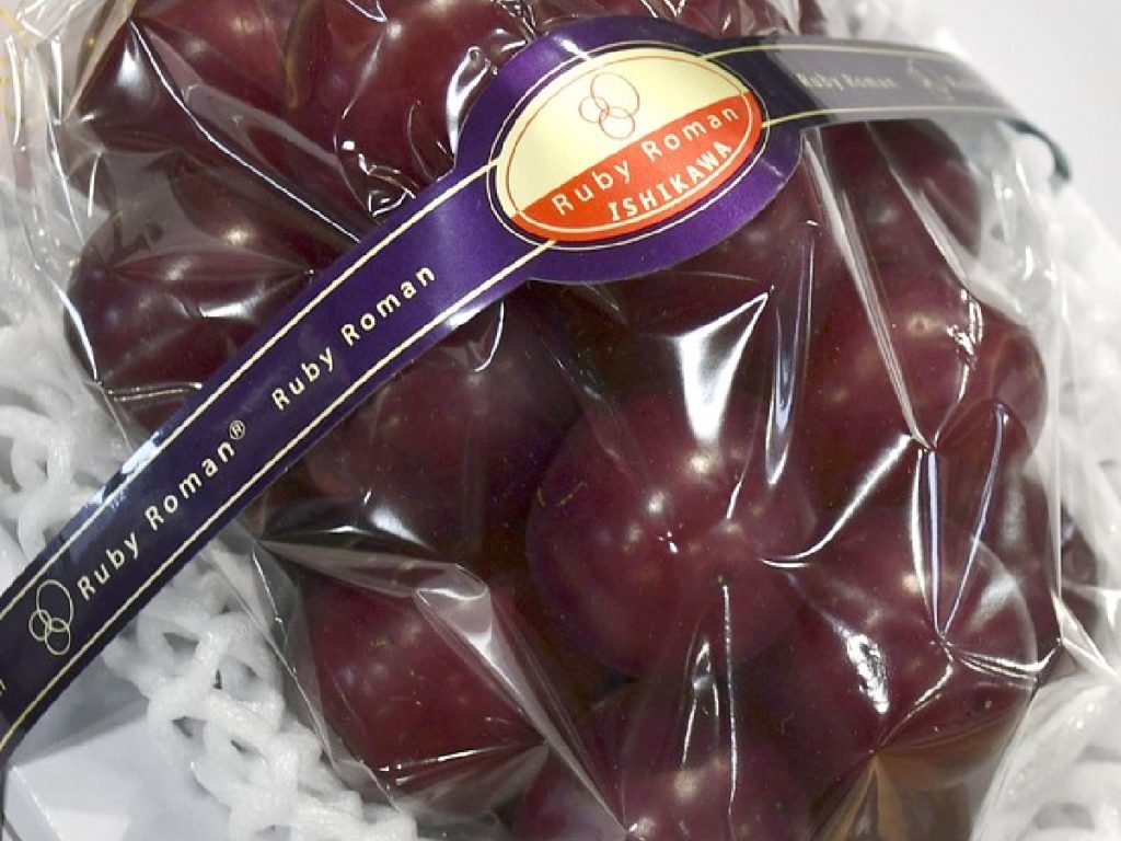 रूबी रोमन अंगूर(जापान): ये अंगूर बड़े, रसदार और बेहद मीठे होते हैं. इनका वजन लगभग एक छोटी गेंद जितना होता है. इसकी कीमत लगभग 10 लाख रूपये प्रति गुच्छा है और हर साल जापान में इनकी ऊंची कीमत पर नीलामी होती है.  रूबी रोमन अंगूर(जापान): ये अंगूर बड़े, रसदार और बेहद मीठे होते हैं. इनका वजन लगभग एक छोटी गेंद जितना होता है. इसकी कीमत लगभग 10 लाख रूपये प्रति गुच्छा है और हर साल जापान में इनकी ऊंची कीमत पर नीलामी होती है.