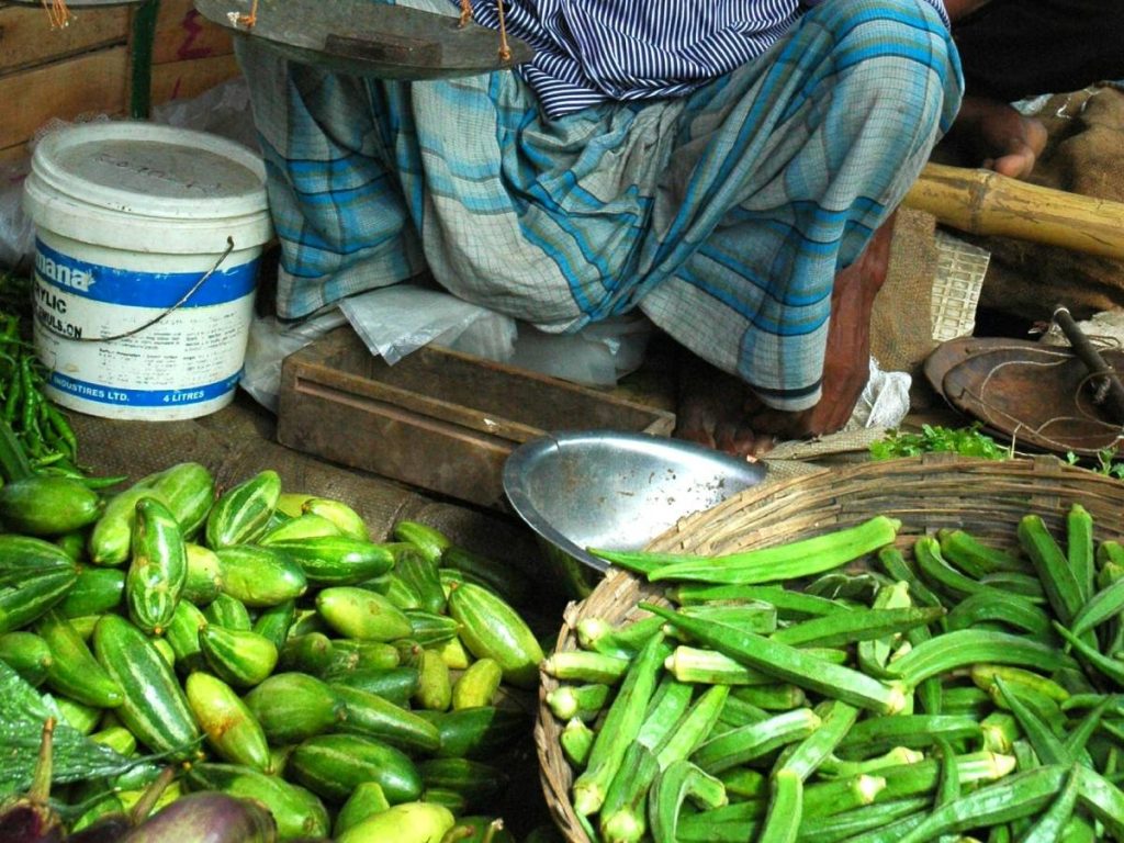 रोपण के लिए तैयार करने के लिए, भिंडी के लिए मिट्टी को 2-3 बार जोतना चाहिए. इसके अलावा अंतिम जुताई से पहले 8-10 टन मवेशी खाद डालना चाहिए. भिंडी को दो अलग-अलग तरीकों से बोया जा सकता है: सलुला विधि और बोडेला विधि, बाद वाली विधि ड्रिप सिंचाई के लिए उपयुक्त है.  रोपण के लिए तैयार करने के लिए, भिंडी के लिए मिट्टी को 2-3 बार जोतना चाहिए. इसके अलावा अंतिम जुताई से पहले 8-10 टन मवेशी खाद डालना चाहिए. भिंडी को दो अलग-अलग तरीकों से बोया जा सकता है: सलुला विधि और बोडेला विधि, बाद वाली विधि ड्रिप सिंचाई के लिए उपयुक्त है.