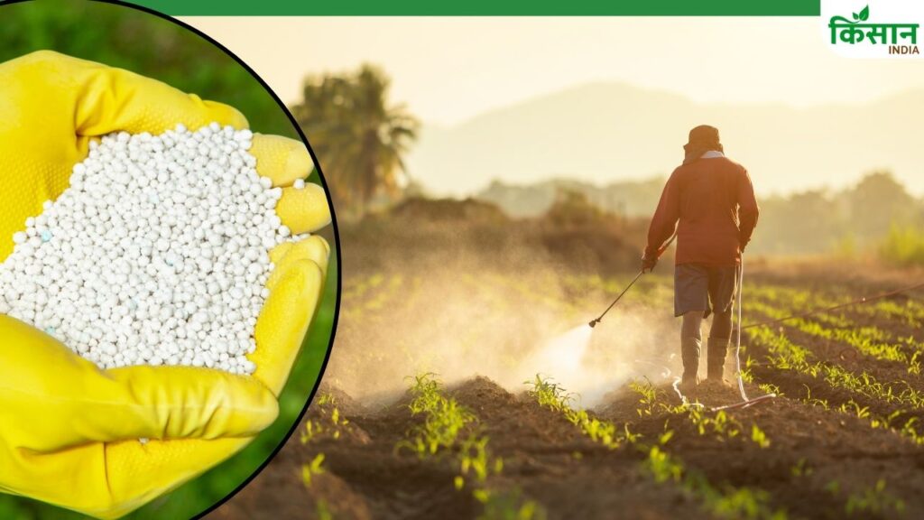 Urea subsidy