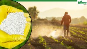 क्या अब किसानों को केवल मिलेगा नैनो फर्टिलाइजर, केंद्र सरकार देने जा रही है स्थाई मंजूरी