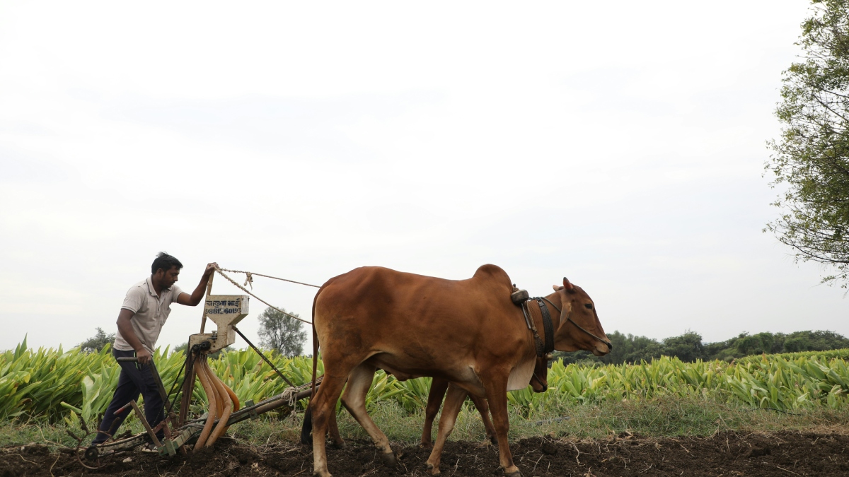 सिंचाई के लिए किसानों को इस राज्‍य में मिलेगी ‘फ्री बिजली’, जानें कैसे 