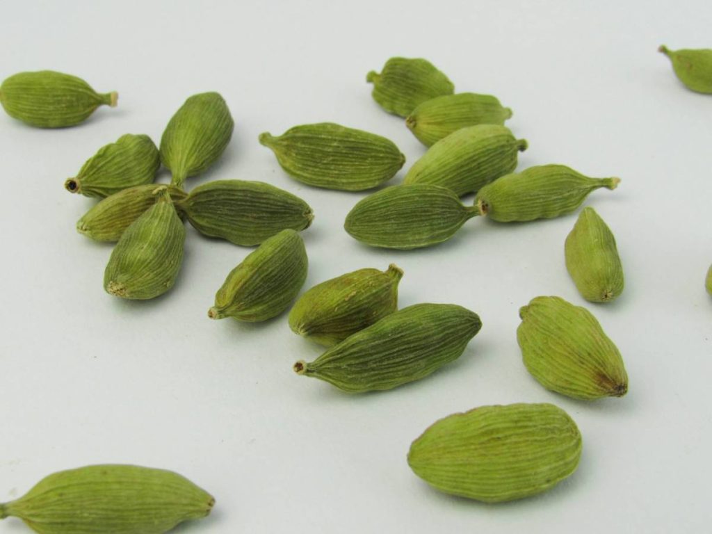 इसकी खेती आपको ऐसी जमीन पर करनी चाहिए जहां पर काली दोमट मिट्टी हो क्योंकि उस मिट्टी को इसके लिए सबसे अच्छा माना गया है. दोमट और लैटेराइड मिट्टी में भी इसकी खेती की जा सकती है. साथ ही अच्छी जल निकास वाली काली मिट्टी भी इसके लिए सही मानी गई है. 
 इसकी खेती आपको ऐसी जमीन पर करनी चाहिए जहां पर काली दोमट मिट्टी हो क्योंकि उस मिट्टी को इसके लिए सबसे अच्छा माना गया है. दोमट और लैटेराइड मिट्टी में भी इसकी खेती की जा सकती है. साथ ही अच्छी जल निकास वाली काली मिट्टी भी इसके लिए सही मानी गई है.