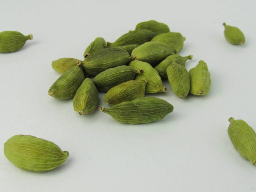 खेती का सही समय मार्च से जून तक का माना गया है. इलायची के पौधे को हमेशा छाया में ही लगाना चाहिए. ज्यादा धूप इसकी फसल के लिए नुकसानदेह होती है. बारिश से पहले इलायची की खेती के लिए नर्सरी तैयार की जाती है. इसकी नर्सरी तैयार करने के लिए एक किलोग्राम बीज काफी होते हैं.  खेती का सही समय मार्च से जून तक का माना गया है. इलायची के पौधे को हमेशा छाया में ही लगाना चाहिए. ज्यादा धूप इसकी फसल के लिए नुकसानदेह होती है. बारिश से पहले इलायची की खेती के लिए नर्सरी तैयार की जाती है. इसकी नर्सरी तैयार करने के लिए एक किलोग्राम बीज काफी होते हैं.