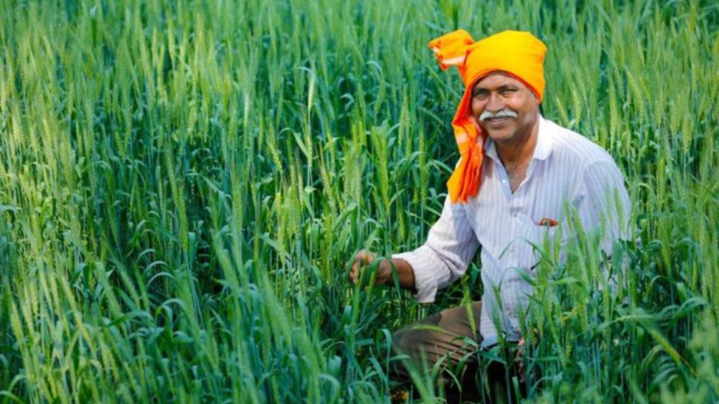 Kharif Sowing Up 2% This Year; Oilseeds Lag Despite Good Monsoon