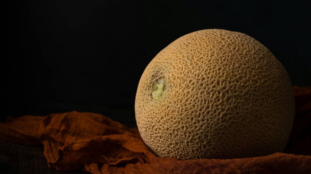 खरबूजा, गहरी उपजाऊ और अच्छी जल निकासी वाली मिट्टी में अच्छी तरह से बढ़ता है. अच्छी जल निकासी वाली दोमट मिट्टी में उगाने पर यह सबसे अच्छे नतीजे देता है. खराब जल निकासी क्षमता वाली मिट्टी खरबूजे की खेती के लिए सही नहीं है.   खरबूजा, गहरी उपजाऊ और अच्छी जल निकासी वाली मिट्टी में अच्छी तरह से बढ़ता है. अच्छी जल निकासी वाली दोमट मिट्टी में उगाने पर यह सबसे अच्छे नतीजे देता है. खराब जल निकासी क्षमता वाली मिट्टी खरबूजे की खेती के लिए सही नहीं है.