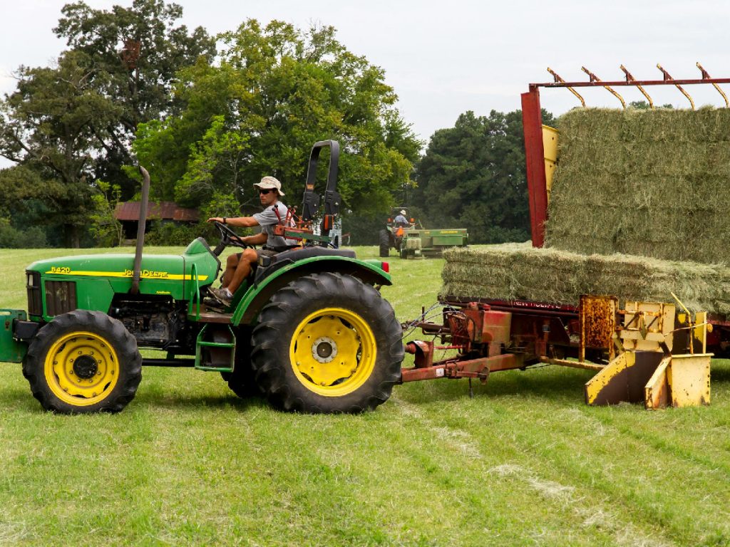 यदि आपके खेत में भारी काम जैसे जुताई, रोपाई या ट्रॉली खींचने का कार्य अधिक है, तो ज्यादा एचपी वाले ट्रैक्टर का चयन करें. यदि आपके खेत में भारी काम जैसे जुताई, रोपाई या ट्रॉली खींचने का कार्य अधिक है, तो ज्यादा एचपी वाले ट्रैक्टर का चयन करें.