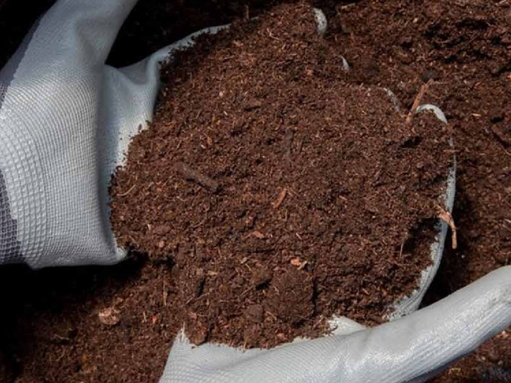 यह खाद नाइट्रोजन, फास्फोरस, पोटैशियम, कैल्शियम, मैग्नीशियम, सल्फर और कई सूक्ष्म पोषक तत्वों से भरपूर होती है, जो मिट्टी को उपजाऊ बनाते हैं. साथ ही यह मिट्टी को भुरभुरा भी बनाती है, जिससे जड़ें आसानी से पोषक तत्व अवशोषित कर पाती हैं. यह खाद नाइट्रोजन, फास्फोरस, पोटैशियम, कैल्शियम, मैग्नीशियम, सल्फर और कई सूक्ष्म पोषक तत्वों से भरपूर होती है, जो मिट्टी को उपजाऊ बनाते हैं. साथ ही यह मिट्टी को भुरभुरा भी बनाती है, जिससे जड़ें आसानी से पोषक तत्व अवशोषित कर पाती हैं.