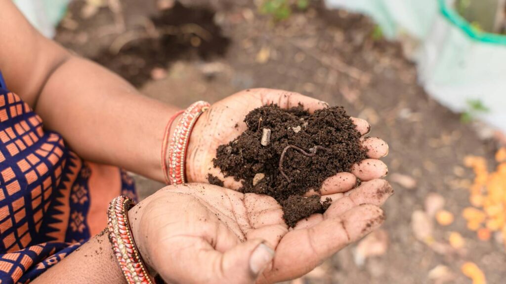वर्मीकम्पोस्ट, गोबर की खाद की तुलना में एक ठंडी खाद के तौर पर मानी जाती है. आप गर्मी के मौसम में इसका प्रयोग कर सकते हैं.  आप आसानी से कटे हुए पेपर, कार्डबोर्ड, केंचुए और फलों, सब्जियों के कचरे से वर्मीकंपोस्ट खाद बना सकते हैं.  वर्मीकम्पोस्ट, गोबर की खाद की तुलना में एक ठंडी खाद के तौर पर मानी जाती है. आप गर्मी के मौसम में इसका प्रयोग कर सकते हैं.  आप आसानी से कटे हुए पेपर, कार्डबोर्ड, केंचुए और फलों, सब्जियों के कचरे से वर्मीकंपोस्ट खाद बना सकते हैं.