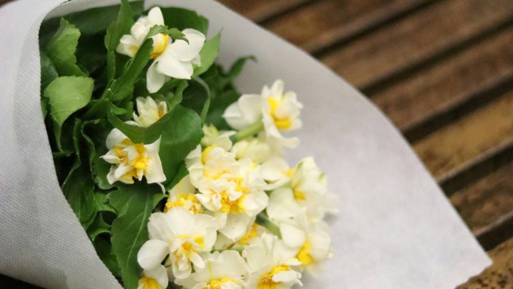 विशेषज्ञों की मानें तो चमेली की खेती करीब हर तरह की मिट्टी में की जा सकती है. हालांकि, अच्छी तरह से सूखी और रेतीली दोमट मिट्टी में  इसका उत्पादन बेहतर होता है. चमेली की खेती के लिए जमीन का पीएच मान  6.5 से 7.5 के बीच होना चाहिए. चमेली की खेती में खाद का भी इस्तेमाल करना चाहिए. विशेषज्ञों की मानें तो चमेली की खेती करीब हर तरह की मिट्टी में की जा सकती है. हालांकि, अच्छी तरह से सूखी और रेतीली दोमट मिट्टी में  इसका उत्पादन बेहतर होता है. चमेली की खेती के लिए जमीन का पीएच मान  6.5 से 7.5 के बीच होना चाहिए. चमेली की खेती में खाद का भी इस्तेमाल करना चाहिए.