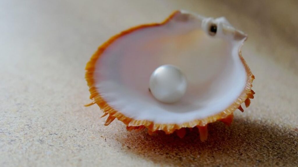 मोती को पहले तालाब और समुद्र से प्राप्त किया जाता था लेकिन किसान अब इसकी खेती मात्र 25-30 हजार रुपये में कर सकते हैं. इसके लिए सरकार की तरफ से 50 प्रतिशत सब्सिडी भी दी जा रही है.     मोती को पहले तालाब और समुद्र से प्राप्त किया जाता था लेकिन किसान अब इसकी खेती मात्र 25-30 हजार रुपये में कर सकते हैं. इसके लिए सरकार की तरफ से 50 प्रतिशत सब्सिडी भी दी जा रही है.