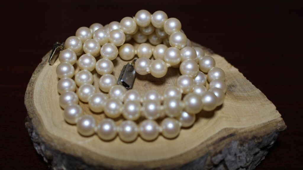 पर्ल फार्मिंग एक ऐसा व्यवसाय है, जो कम लागत में अच्छी आमदनी दे सकता है. इसकी खास बात यह है कि इसे छोटे पैमाने पर भी आसानी से किया जा सकता है. इसी कड़ी में जानते है इसके खेती के तरीके. पर्ल फार्मिंग एक ऐसा व्यवसाय है, जो कम लागत में अच्छी आमदनी दे सकता है. इसकी खास बात यह है कि इसे छोटे पैमाने पर भी आसानी से किया जा सकता है. इसी कड़ी में जानते है इसके खेती के तरीके.