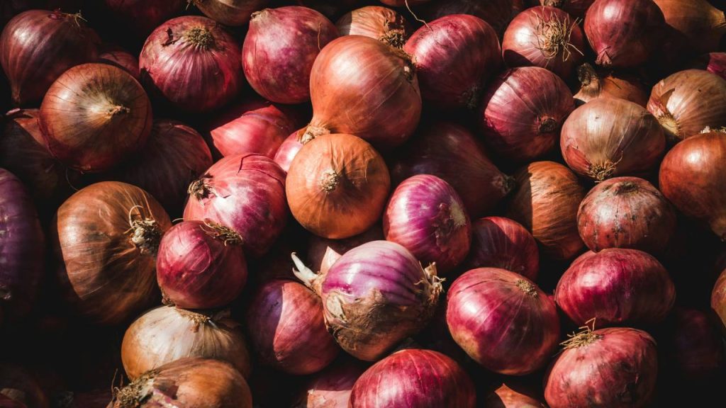 Indian onion export
