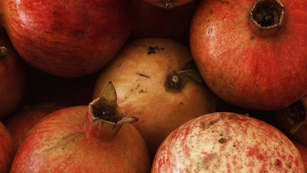 अनार अपने औषधीय गुणों के लिए भी बेशकीमती है. साथ ही इसका उपयोग चमड़ा उद्योग और रंगाई उद्योगों में किया जाता है. भारत दुनिया का सातवां सबसे बड़ा अनार उत्पादक देश है. भारत दुनिया का इकलौता ऐसा देश है जो पूरे साल जनवरी से दिसंबर तक, अनार की खेती करने की क्षमता रखता है. 