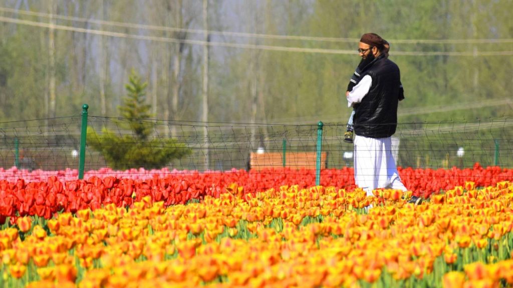 श्रीनगर ट्यूलिप फेस्टिवल 2025 की तैयारियां जोरों पर हैं, जो पहले से कहीं ज़्यादा बड़ा और शानदार होने का वादा करता है. दुनिया भर से हजारों पर्यटक प्रकृति के सबसे लुभावने नजारों में से एक को देखने के लिए एशिया के सबसे बड़े ट्यूलिप गार्डन में उमड़ेंगे.  आप प्रकृति के दीवाने हों, फोटोग्राफी के शौकीन हों यह ट्यूलिप फेस्टिवल आपके लिए परफेक्ट है.  श्रीनगर ट्यूलिप फेस्टिवल 2025 की तैयारियां जोरों पर हैं, जो पहले से कहीं ज़्यादा बड़ा और शानदार होने का वादा करता है. दुनिया भर से हजारों पर्यटक प्रकृति के सबसे लुभावने नजारों में से एक को देखने के लिए एशिया के सबसे बड़े ट्यूलिप गार्डन में उमड़ेंगे.  आप प्रकृति के दीवाने हों, फोटोग्राफी के शौकीन हों यह ट्यूलिप फेस्टिवल आपके लिए परफेक्ट है.