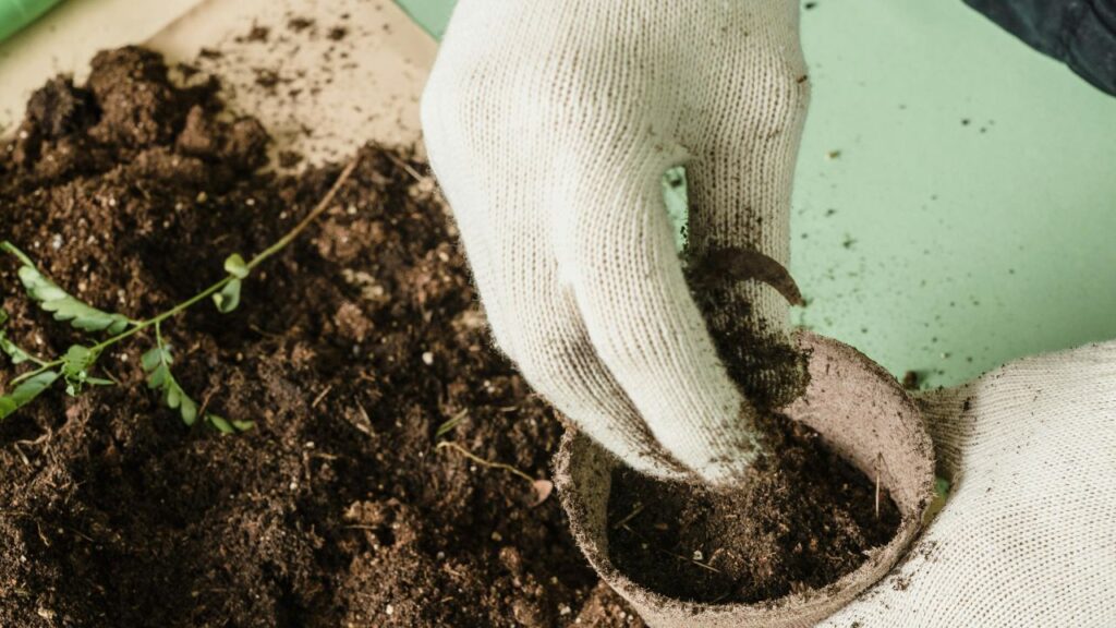 सभी सामग्रियों को मिलाकर  मिश्रण तैयार कर लें. इसके बाद  मिश्रण को किसी कांच या प्लास्टिक की बोतल में भरकर 10-15 दिनों के लिए रख दें. साथ ही  बोतल को बीच-बीच में हिलाते रहें, ताकि गैस न बने और खाद अच्छे से तैयार हो सके. सभी सामग्रियों को मिलाकर  मिश्रण तैयार कर लें. इसके बाद  मिश्रण को किसी कांच या प्लास्टिक की बोतल में भरकर 10-15 दिनों के लिए रख दें. साथ ही  बोतल को बीच-बीच में हिलाते रहें, ताकि गैस न बने और खाद अच्छे से तैयार हो सके.