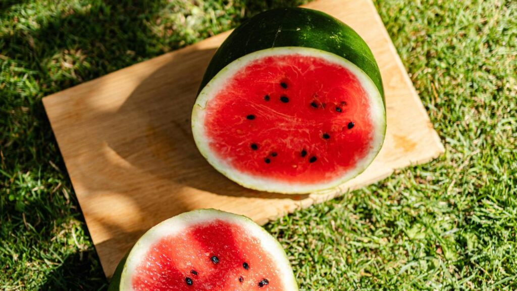 तरबूज की सिंचाई के लिए ड्रिप इरीगेशन को सही माना  जाता है. हमेशा इस बात का ध्यान रखें कि अगर आप ऑर्गेनिक खाद का प्रयोग कर रहे हैं तो फिर रासायनिक उर्वरक को इससे दूर ही रखें. अगर आपने खेती के लिए मल्च का प्रयोग नहीं किया है तो फिर हर 15 से 20 दिन के अंतर पर निराई गुड़ाई करते रहें.   तरबूज की सिंचाई के लिए ड्रिप इरीगेशन को सही माना  जाता है. हमेशा इस बात का ध्यान रखें कि अगर आप ऑर्गेनिक खाद का प्रयोग कर रहे हैं तो फिर रासायनिक उर्वरक को इससे दूर ही रखें. अगर आपने खेती के लिए मल्च का प्रयोग नहीं किया है तो फिर हर 15 से 20 दिन के अंतर पर निराई गुड़ाई करते रहें.