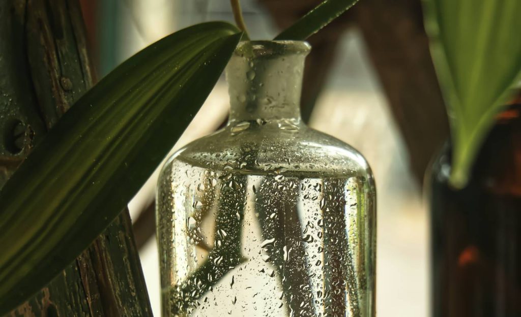 लौकी के बीजों में 40 फीसदी तेल होता है. लौकी के बीज के तेल से सिर दर्द की समस्या दूर होती है और बालों का झड़ना कम होता है. साथ ही साथ बालों की जड़ें मजबूत होती हैं.   लौकी के बीजों में 40 फीसदी तेल होता है. लौकी के बीज के तेल से सिर दर्द की समस्या दूर होती है और बालों का झड़ना कम होता है. साथ ही साथ बालों की जड़ें मजबूत होती हैं.