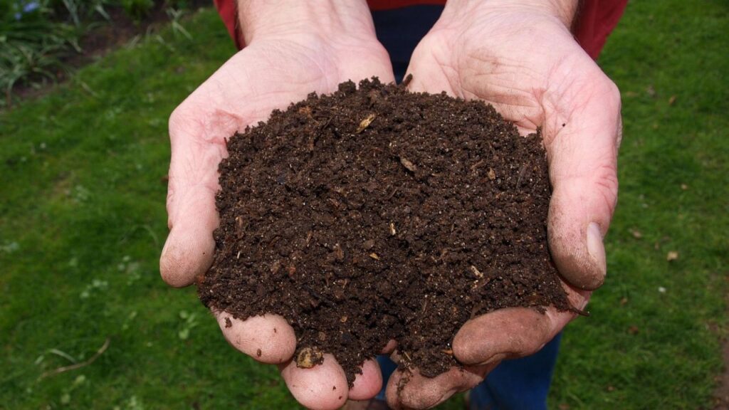 अब आप अगली प्रक्रिया के तहत खाद को ठंडी और सूखी जगह पर रखें, ताकि यह जल्दी खराब न हो.आप चाहें तो इसे जूट बैग में भरकर स्टोर करें, इससे हवा पास होती रहेगी और खाद ज्यादा दिनों तक टिक सकेगी.  अब आप अगली प्रक्रिया के तहत खाद को ठंडी और सूखी जगह पर रखें, ताकि यह जल्दी खराब न हो.आप चाहें तो इसे जूट बैग में भरकर स्टोर करें, इससे हवा पास होती रहेगी और खाद ज्यादा दिनों तक टिक सकेगी.