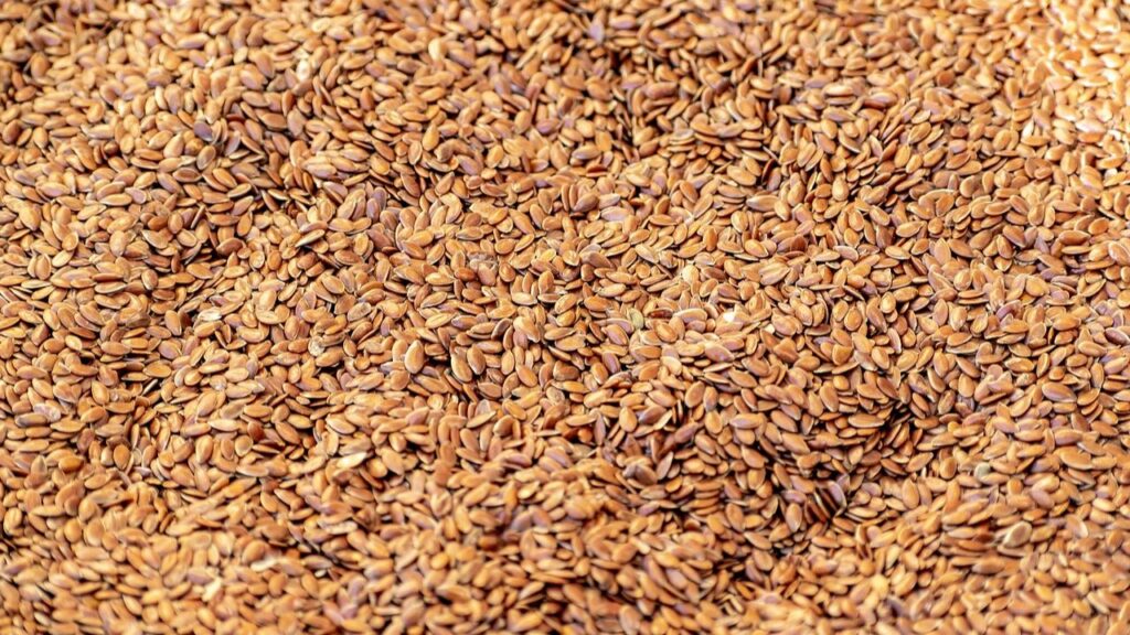 अलसी की खेती किसानों के लिए एक बेहतरीन आय का स्रोत बन सकती है, क्योंकि यह कम खर्च में ज्यादा मुनाफे वालें फसलों में से एक होती है. अलसी की खेती किसानों के लिए एक बेहतरीन आय का स्रोत बन सकती है, क्योंकि यह कम खर्च में ज्यादा मुनाफे वालें फसलों में से एक होती है.